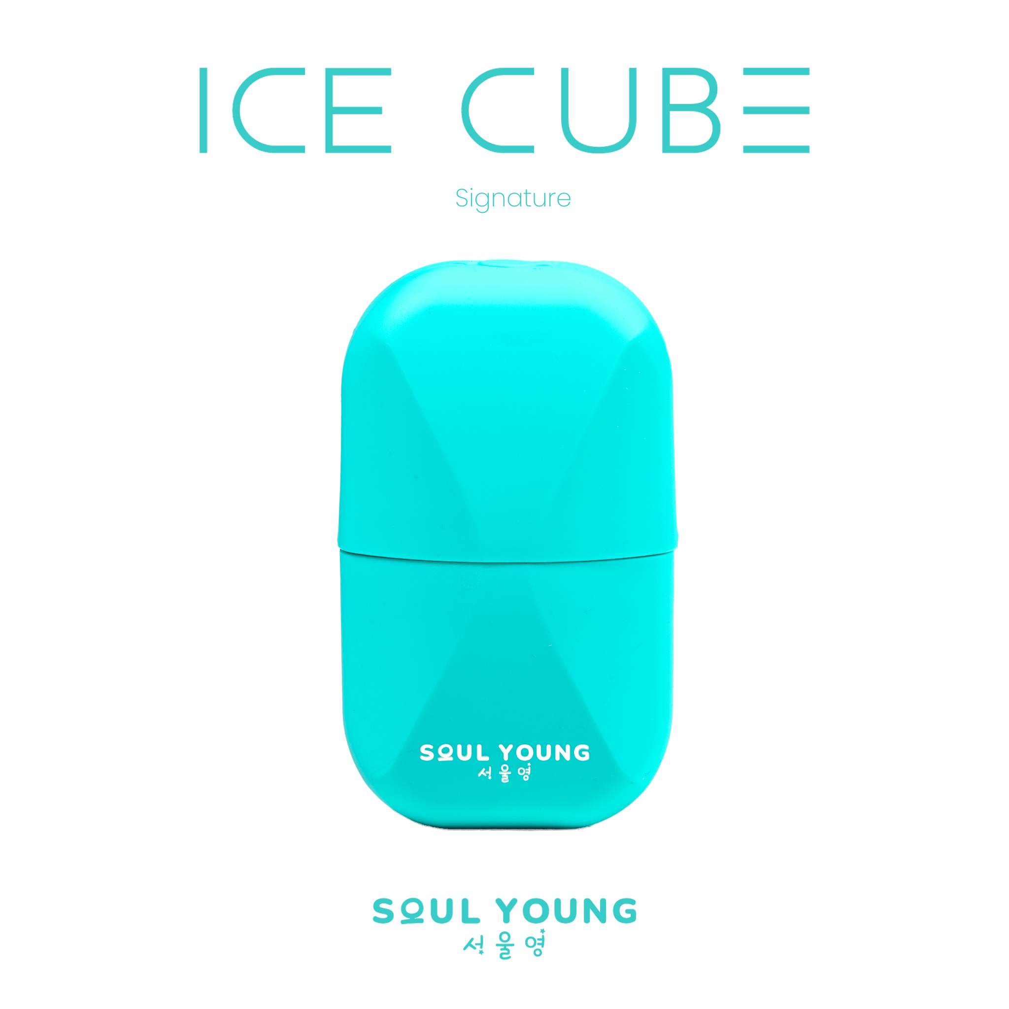 Soul-Young-Ice-Cube-Signature